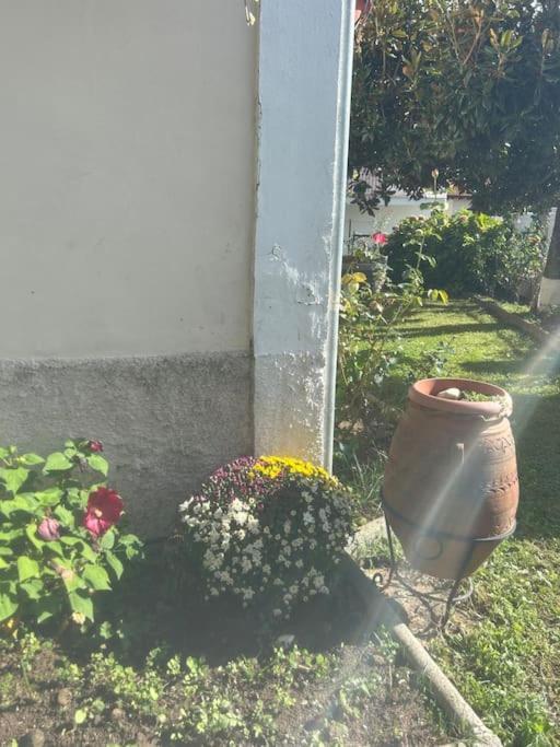 Βίλα La Casa Di Rena Áno Poróïa
